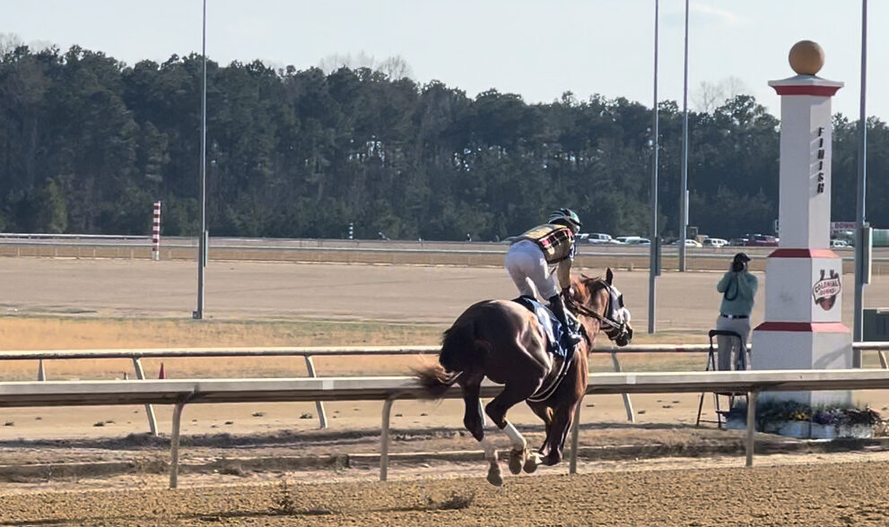 Virginia Derby